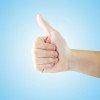 Landlord Syndicate Most tenants say they are happy with their landlord